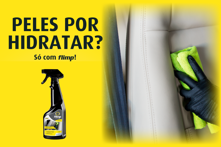 COMO CONDICIONAR E PROTEGER INTERIORES EM PELE