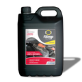 LIMPA MOTORES 5L